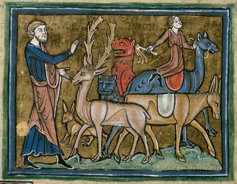 Bibliai jelenet: Ádám nevet ad az állatoknak (angol bestiárium, 1230 körül) • Kép forrása: mad.hypotheses.org
